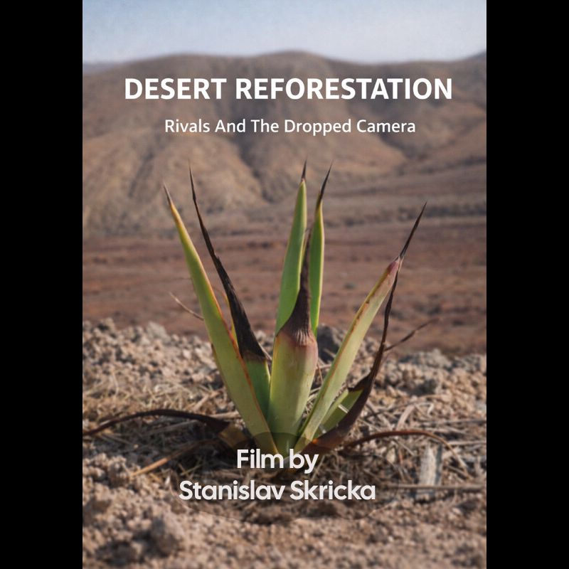 desert
